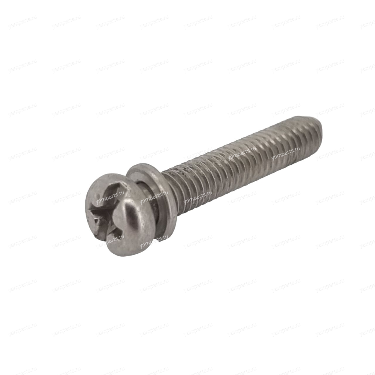 Винт с шайбой