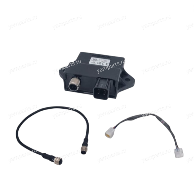 Блок Управления Электронный